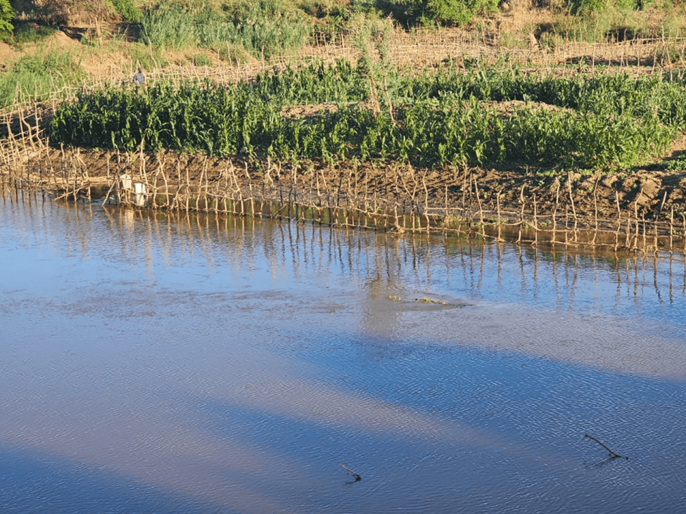 Farming the Rivers: How Mbire's Resilient Cultivators are Beating Drought and Hunger
