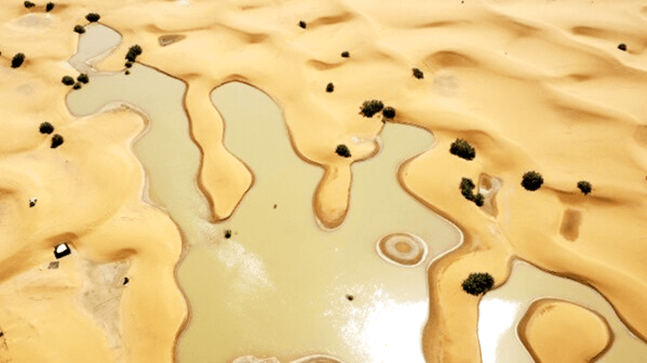 Sahara's Stunning Makeover: Lakes Amid the Dunes