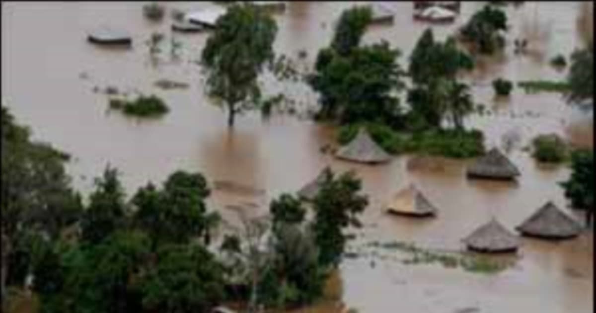 Mberengwa Faces Ecological and Livelihood Crisis: Experts Call for Disaster Declaration