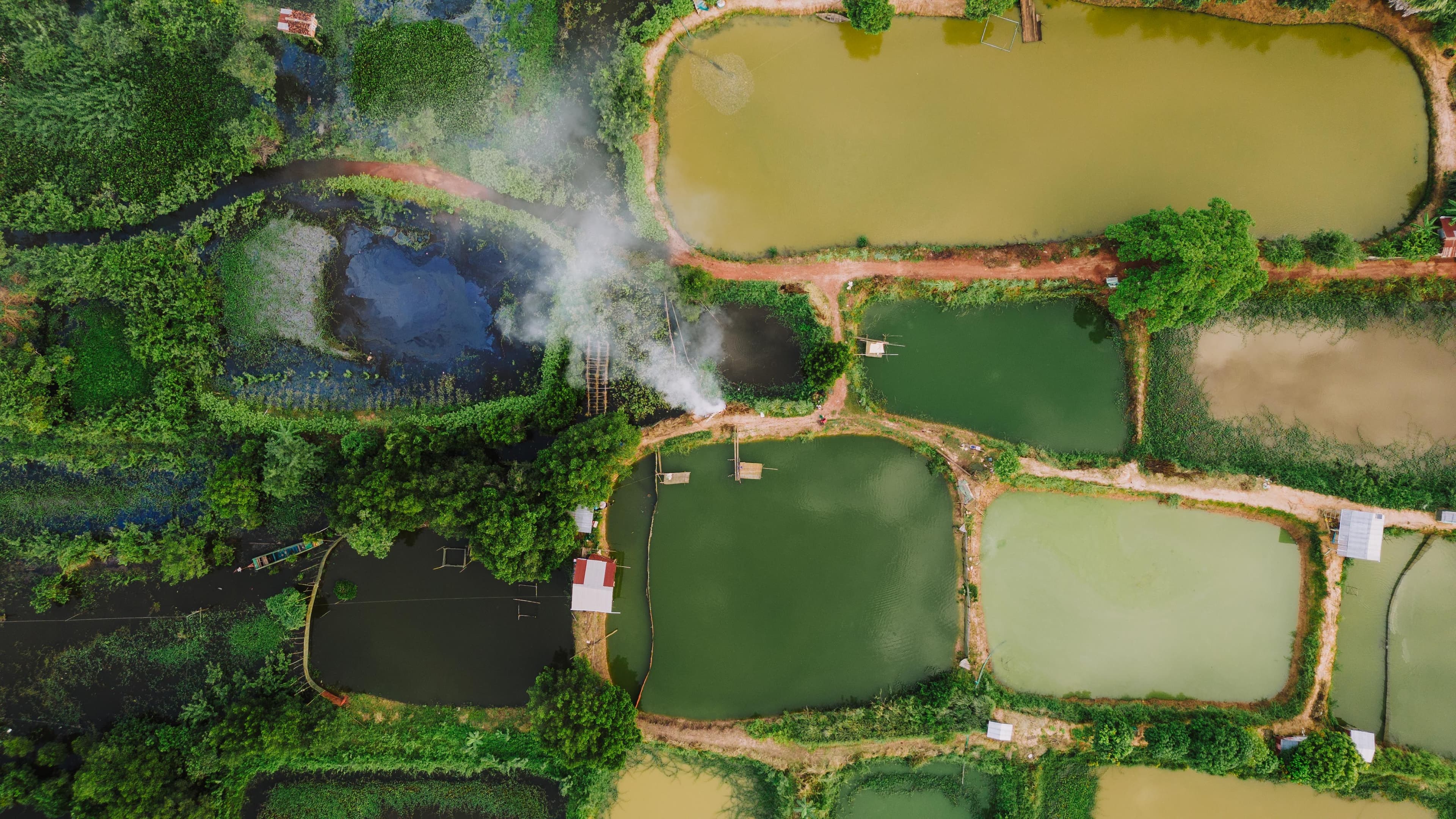 Investing in Resilience: A Commentary on Nature-Based Solutions in Zimbabwe and Africa